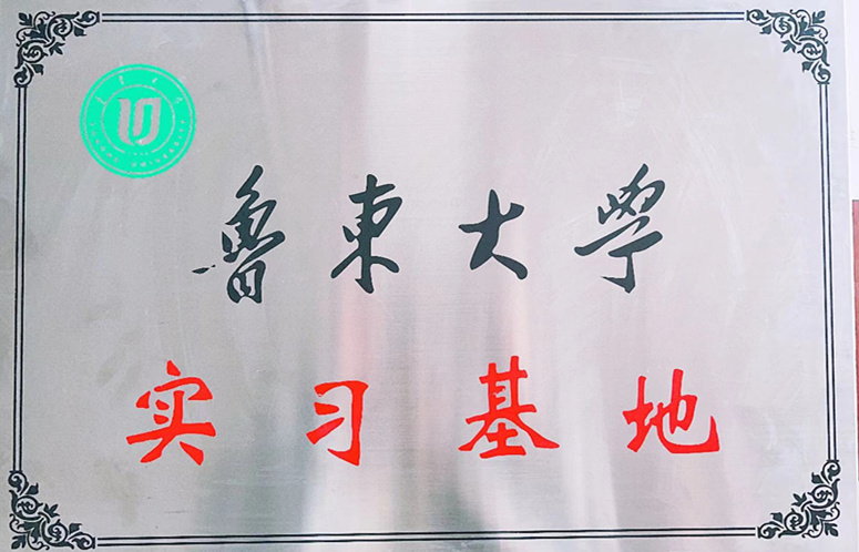 鲁东大学就业实习基地